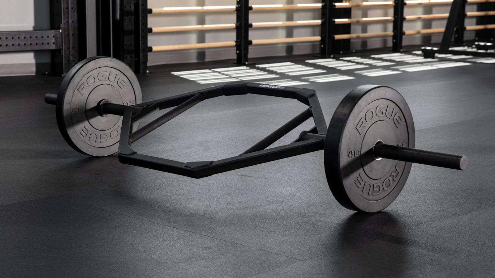 Rogue MIL Spec Echo Bumper Rogue Fitness